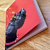 Schnauzer Note Pad (Terrier on Red Catseye)